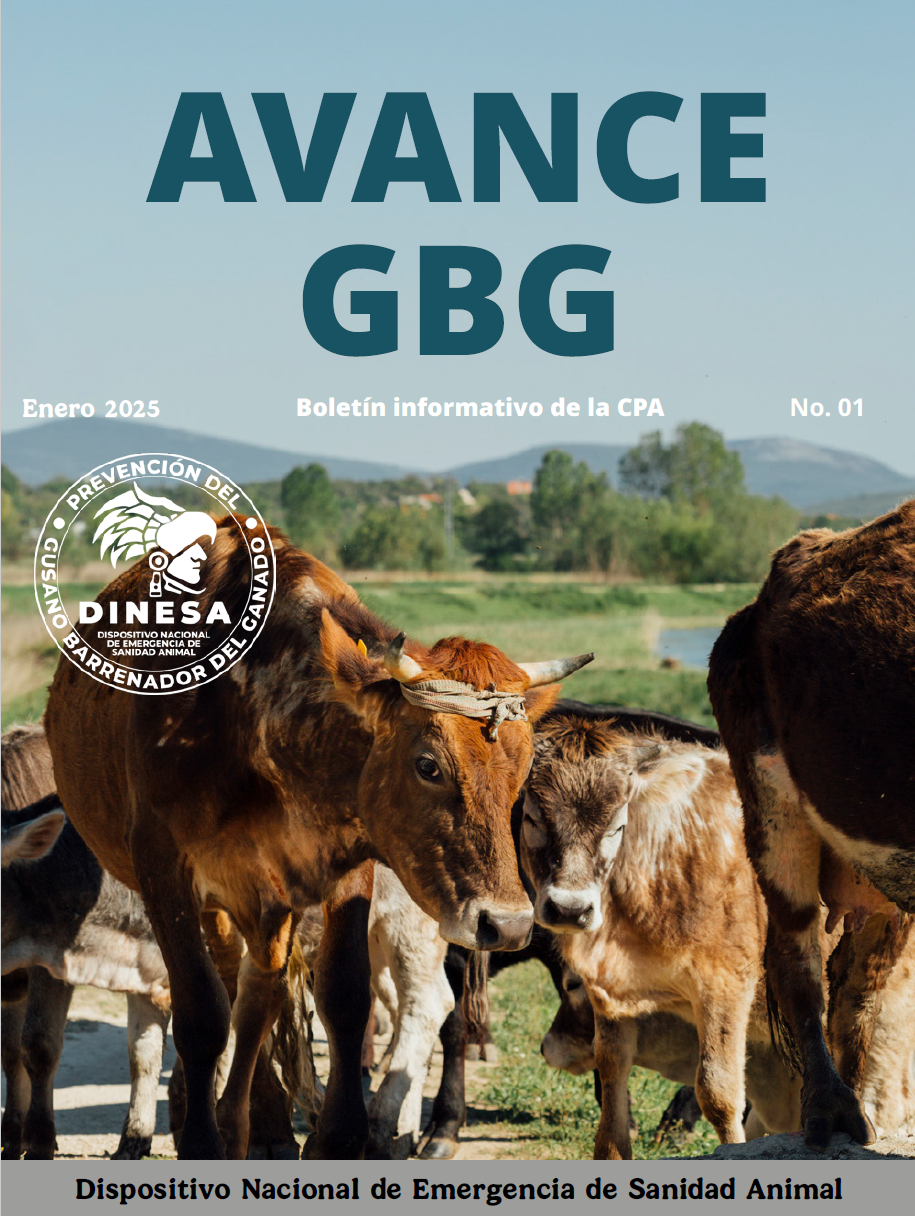 Boletín AVANCE GBG No. 01