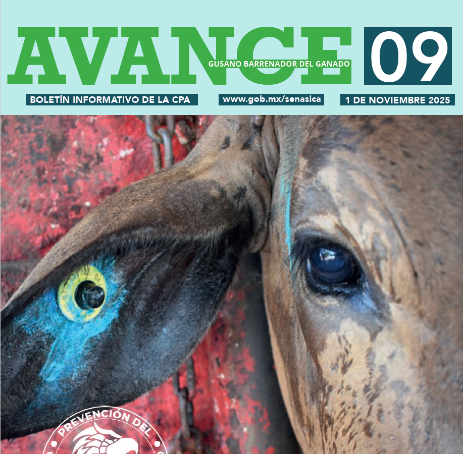 Boletín AVANCE GBG No. 09