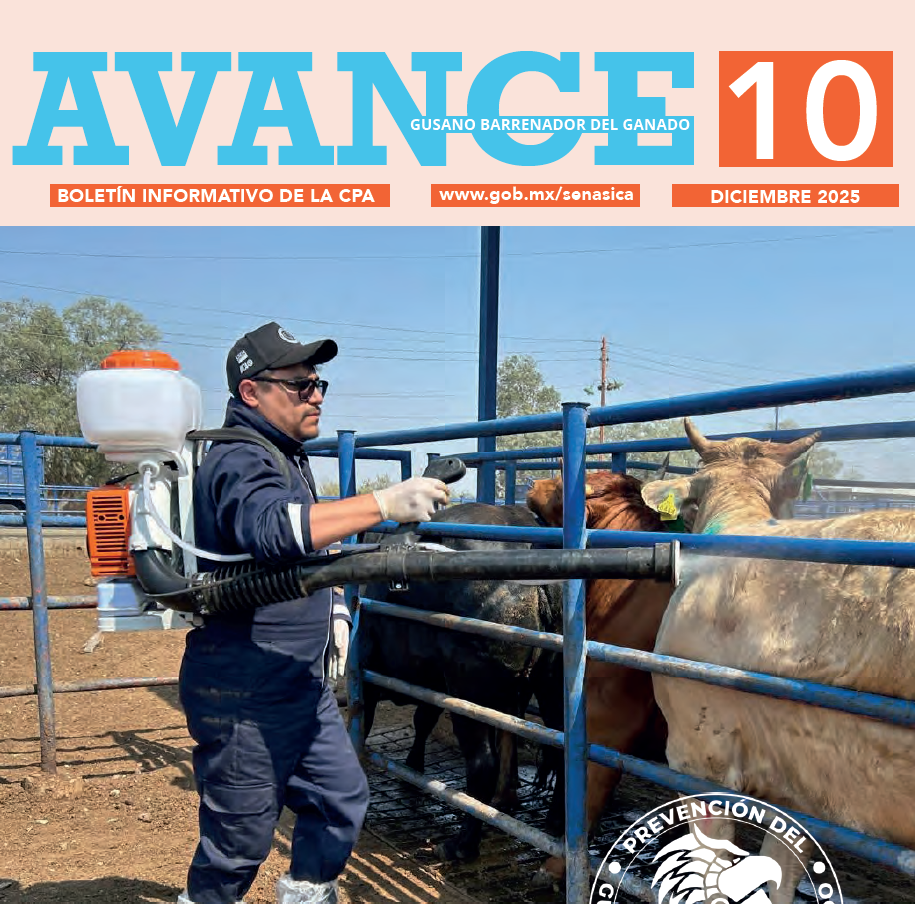 Boletín AVANCE GBG No. 10