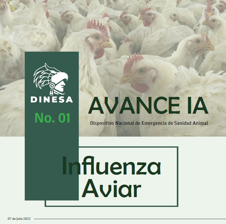 Boletín No. 01 Influenza Aviar 