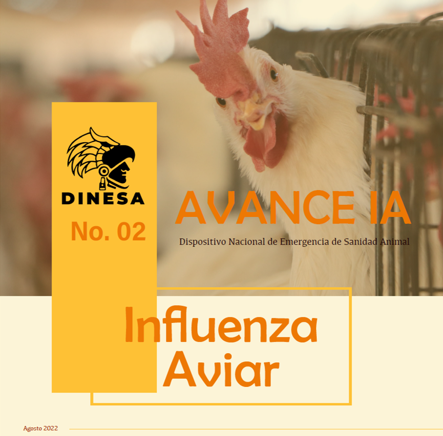 Boletín No. 02 Influenza Aviar