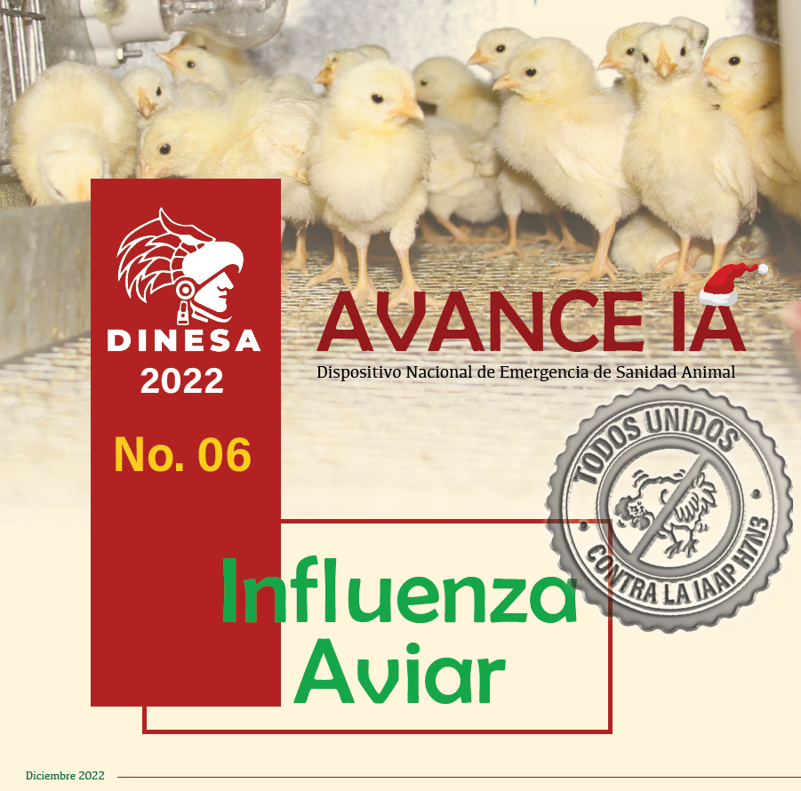 Boletín No. 06 Influenza Aviar