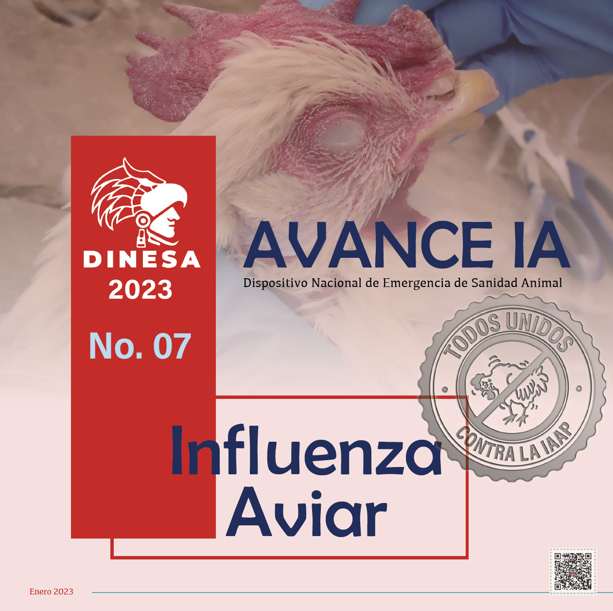 Boletín No. 07 Influenza Aviar