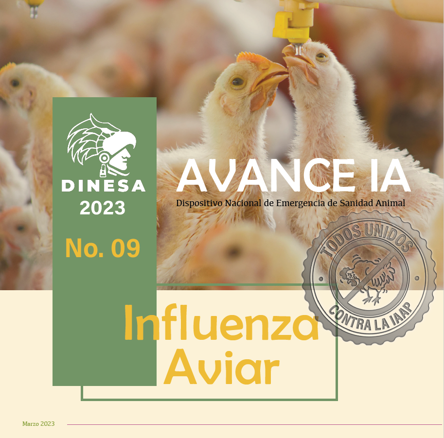 Boletín No. 09 Influenza Aviar