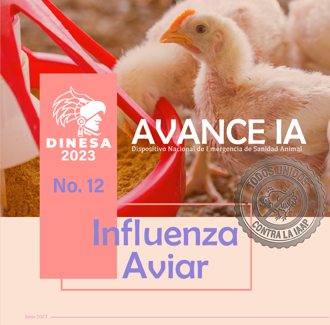 Boletín No. 12 Influenza Aviar