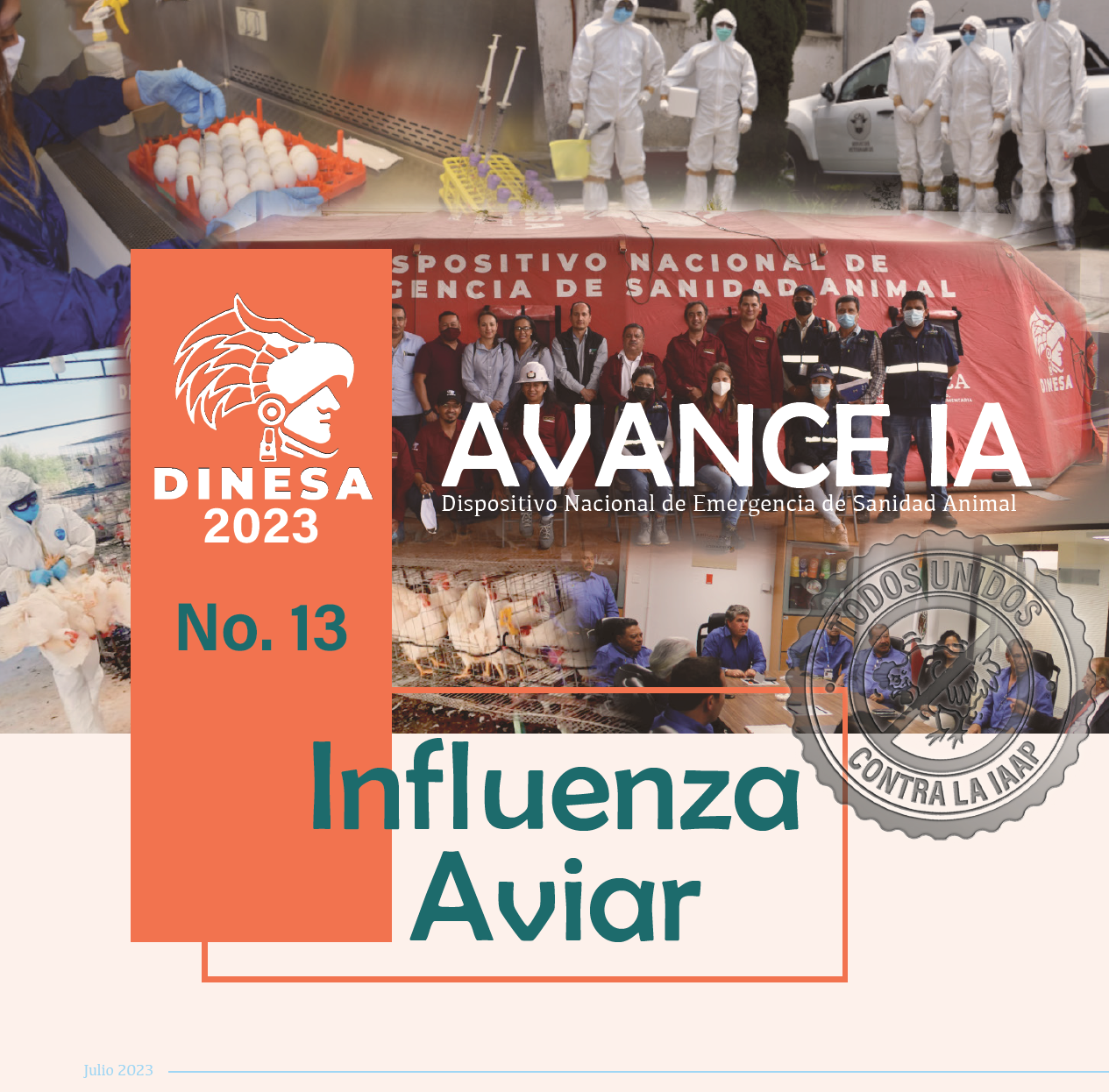 Boletín No. 13 Influenza Aviar