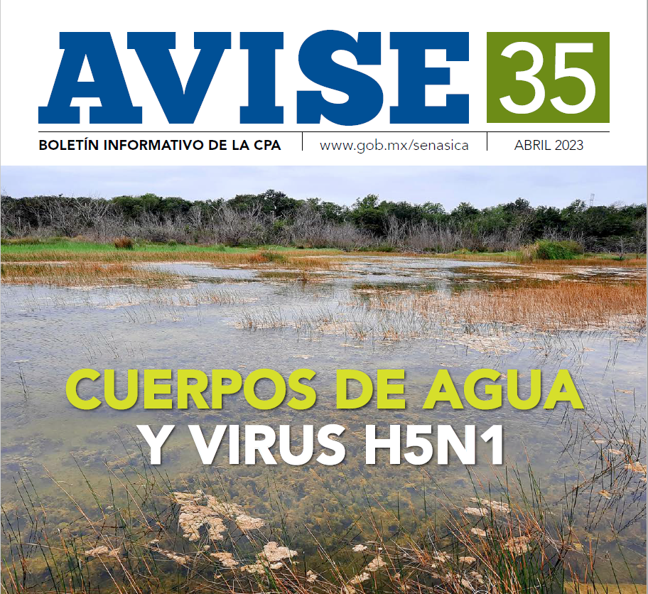 Boletín AVISE 35-Abril 2023